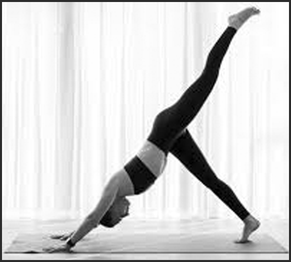 vinyasa